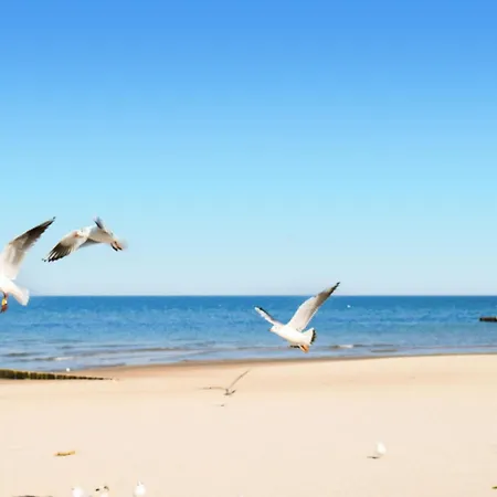 Lovely In Darlowo With Wifi Casa de Férias *